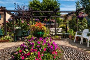 Photo 11- click for photo gallery